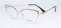 Фото Traveler 7010 c2 (с футляром)
