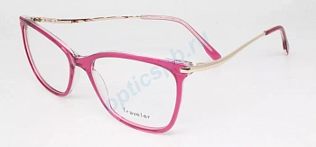 Фото Traveler 6003 с5 (с футляром)