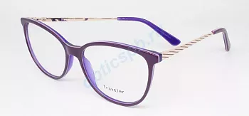 Фото Traveler 6006 с3 (с футляром)