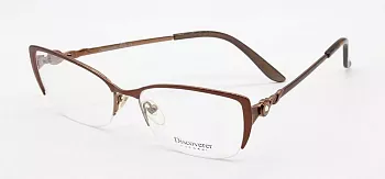 Фото Discoverer 870 c1