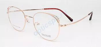 Фото Traveler 18157 c09 (с футляром)