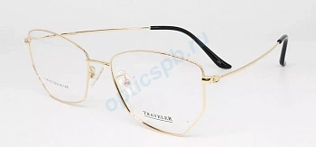 Фото Traveler 18103 c01 (с футляром)