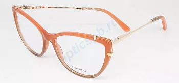 Фото Traveler 6013 с6