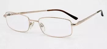 Фото Антикомпьютерные очки FOCUS 1225 c1 с футл.