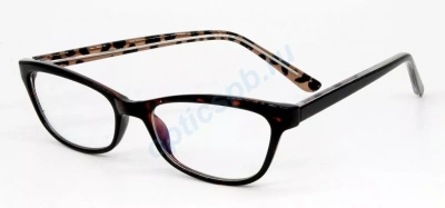 Фото Антикомпьютерные очки FOCUS 6204 с4